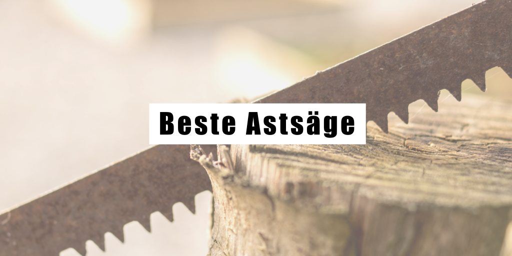 Beste Astsäge